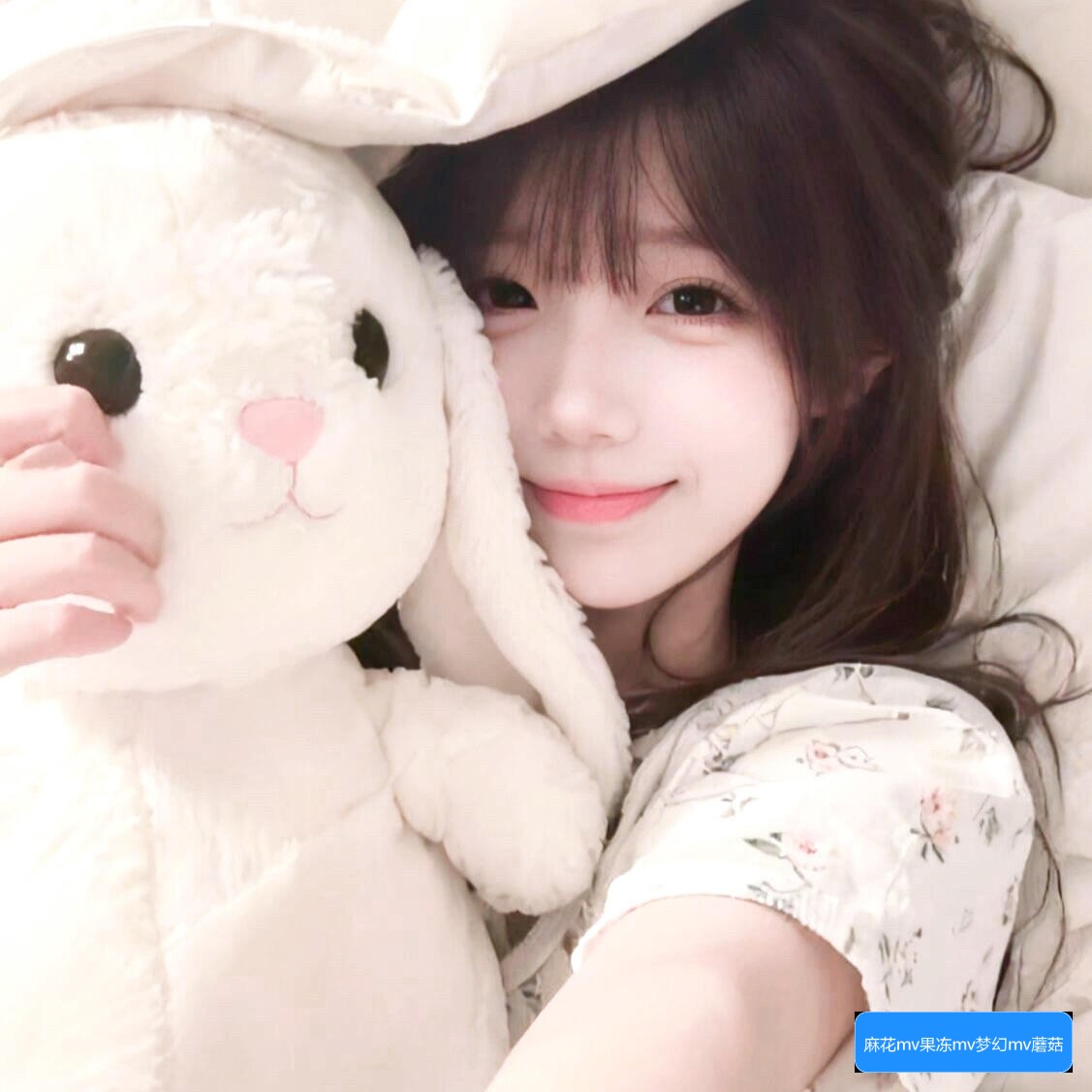 麻花MV天美大象视频怎么下载或在线观看的方法介绍